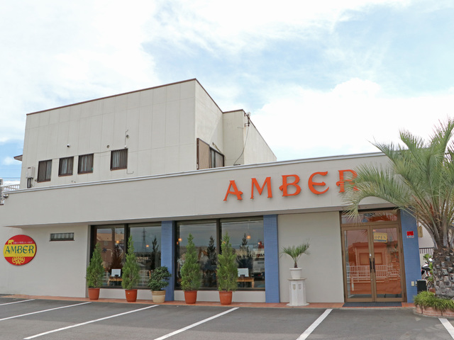 インド料理専門店 AMBERの写真