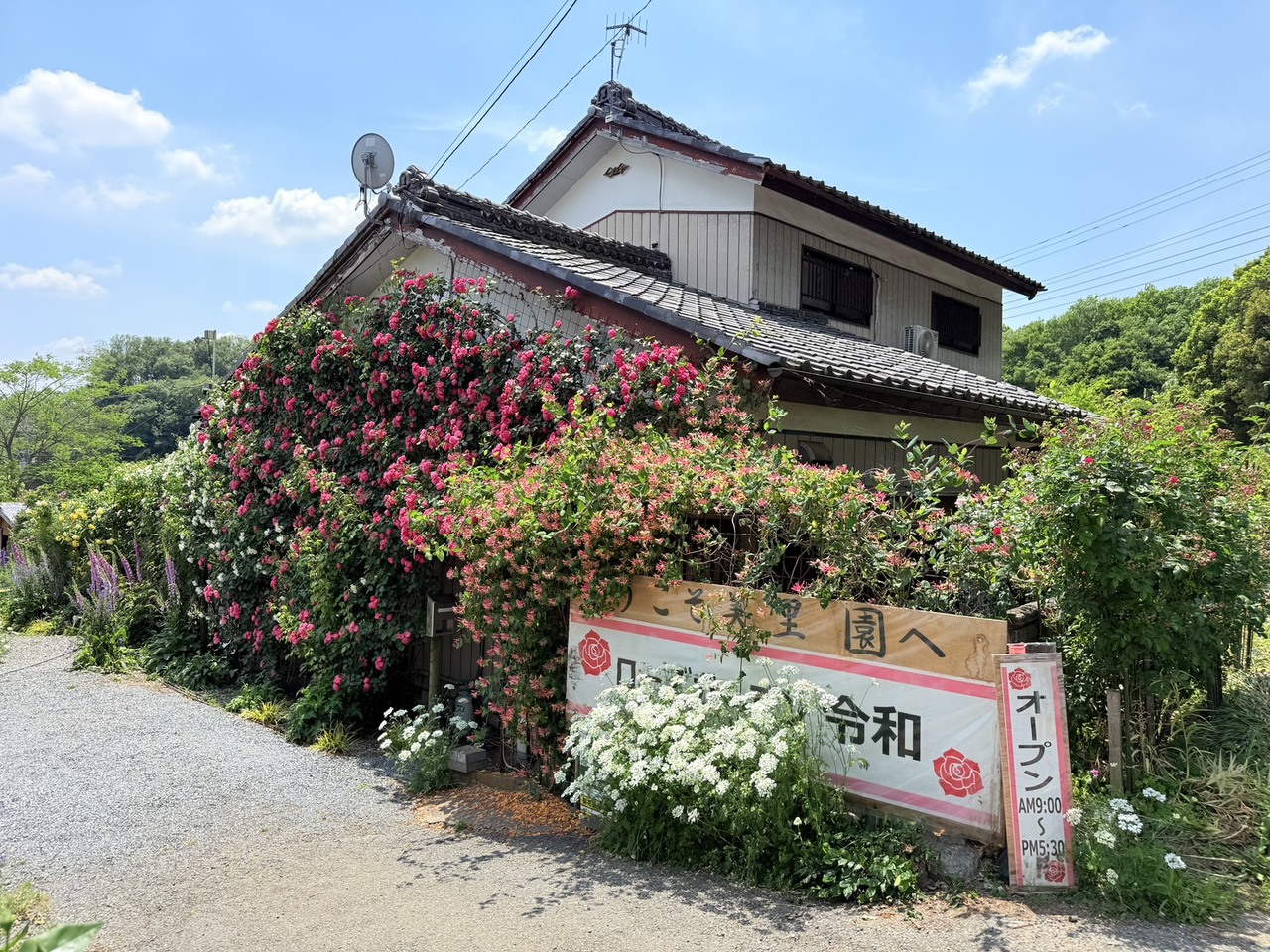 ローズガーデン令和 美里園の写真