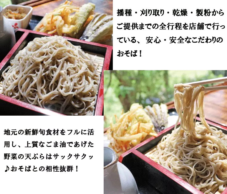 もりそば・野菜天ぷら(5品)・きんぴら