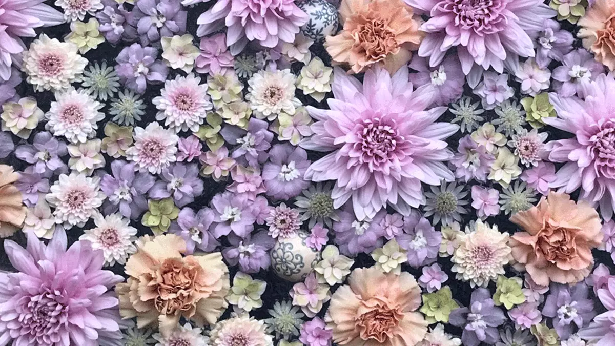 花々に癒される！行田「花手水week」♪幻想的なライトアップデーも