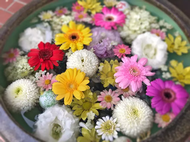 「シャロン洋菓子店」入口付近の花手水