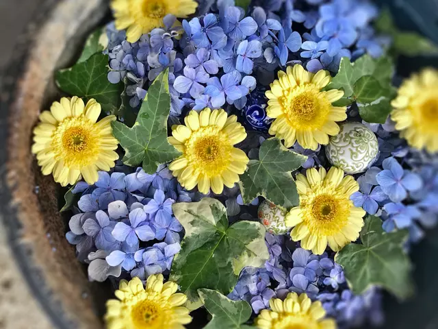 「あんど」入口付近の花手水