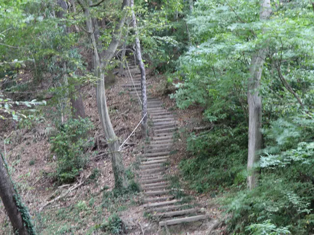 (一眼レフカメラを持っての登山が想像以上にキツく、長い階段を前にして手元が震えてしまった点、ご容赦ください。)