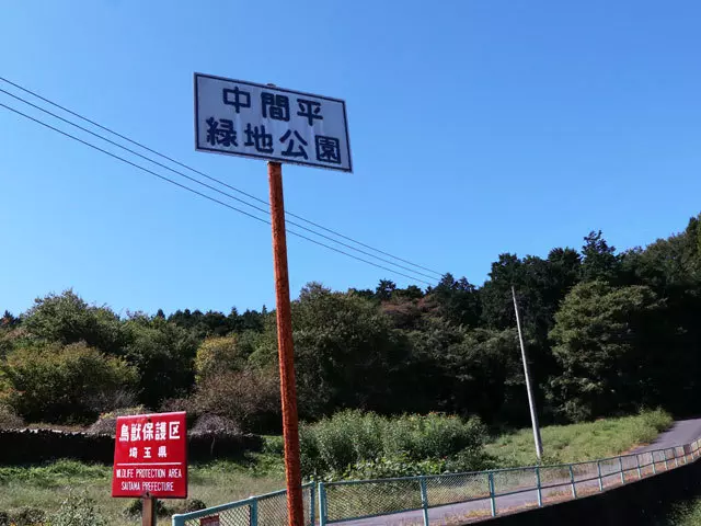 (夜景スポットは、晴れた昼間に行っても絶好のデートスポットです。)