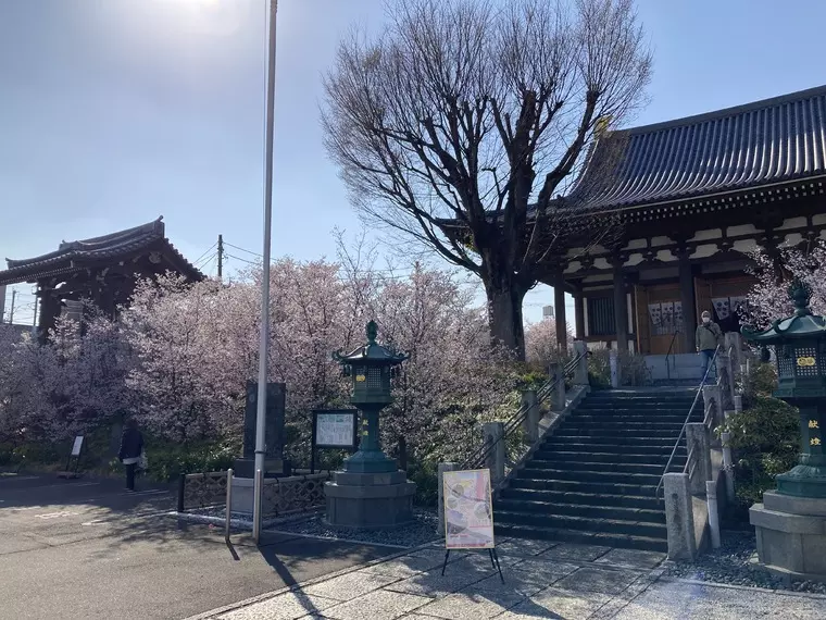 撮影日:2023年3月15日
