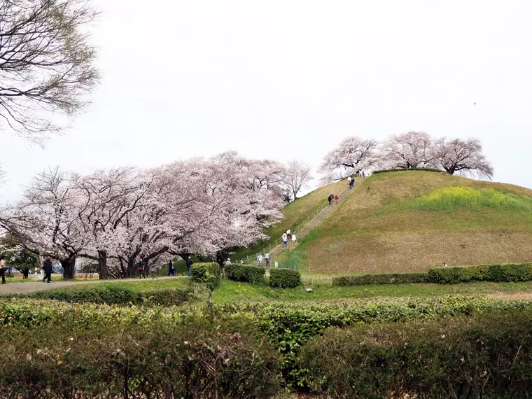 撮影日:2023年3月24日
