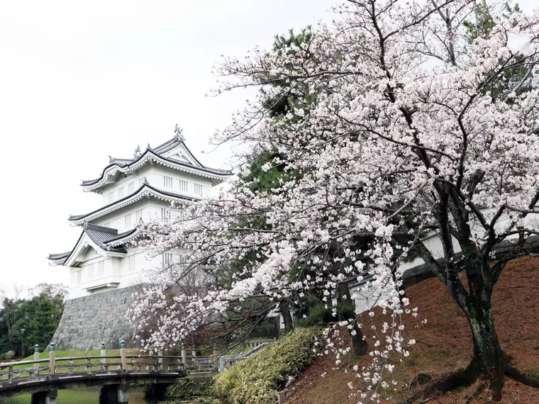 撮影日:2023年3月24日