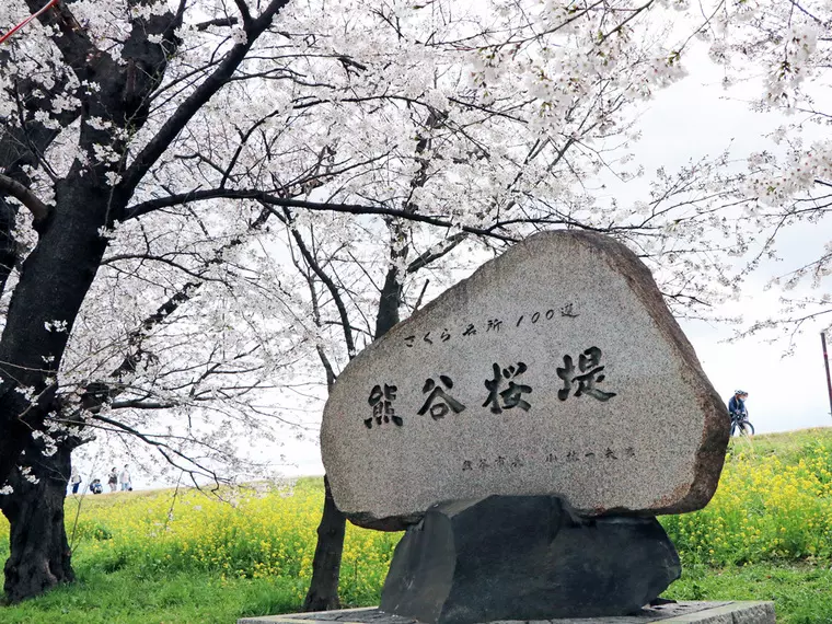 撮影日:2023年3月24日
