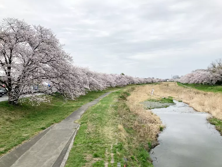 撮影日:2023年3月27日