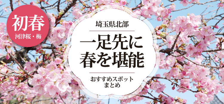 【河津桜 / 梅】埼玉県北部で春を一足先に楽しめるスポットまとめ