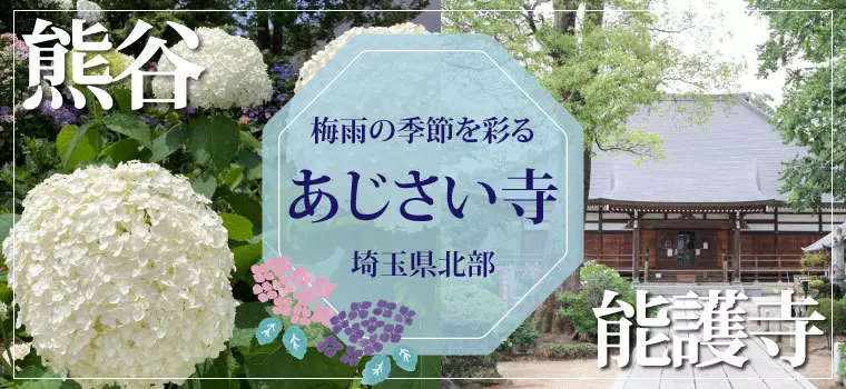 埼玉県北部のあじさいスポット～梅雨のあじさい寺～