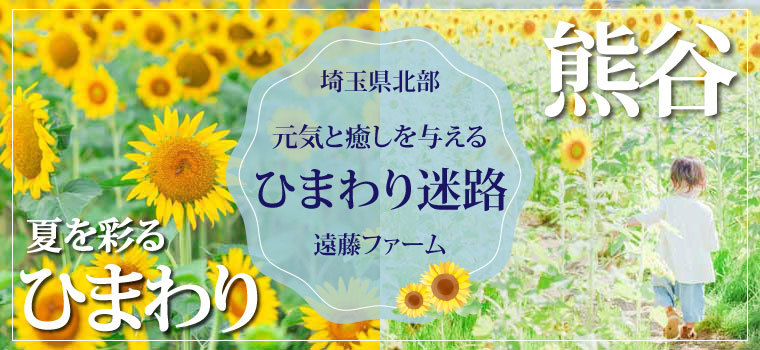 埼玉県北部のひまわりスポット～ひまわり迷路を楽しもう～