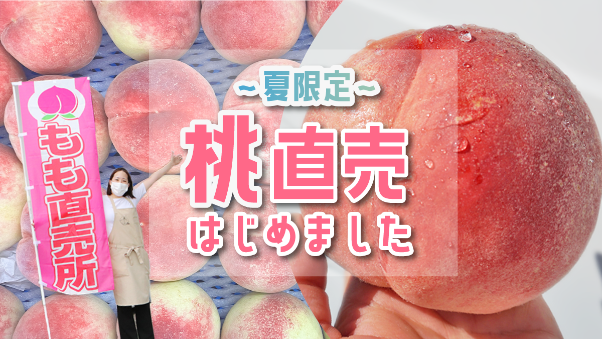 【夏限定】深谷市にある"あの干し芋直売所"で桃！？土日限定の直売がスタート【PR】
