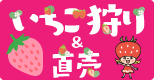 埼玉県北部のいちご狩り＆直売～いちご農園特集～